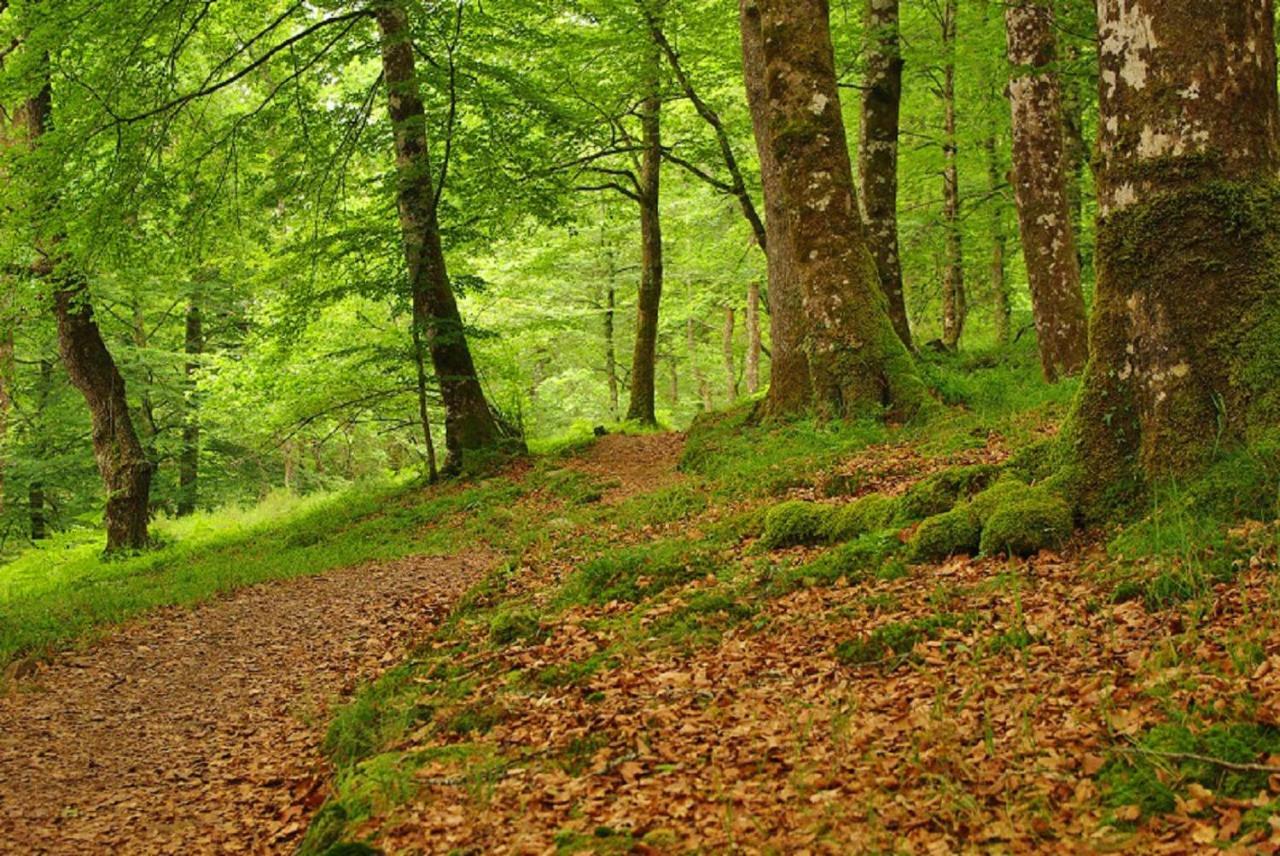 El Rincon Del Besaya ξενώνας Villasuso de Cieza Εξωτερικό φωτογραφία