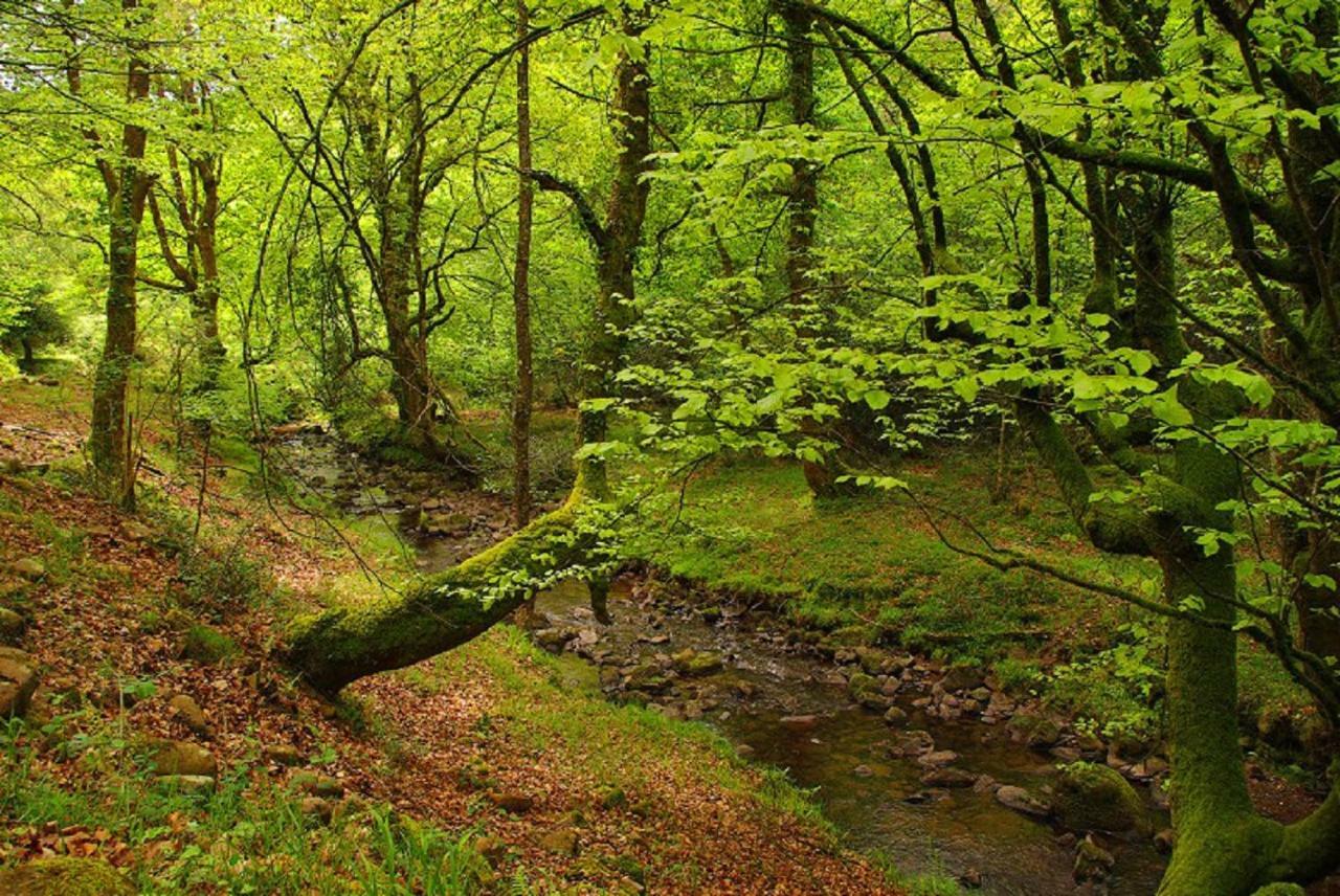 El Rincon Del Besaya ξενώνας Villasuso de Cieza Εξωτερικό φωτογραφία